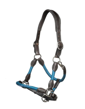 Anatomisch geformtes Halfter mit Führstrick in pacific